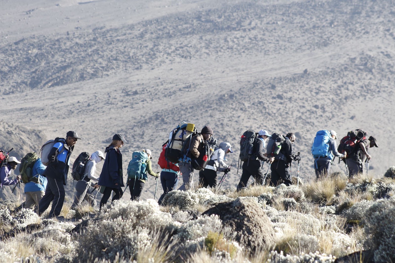 The Machame trail through forest toward Kilimanjaro
