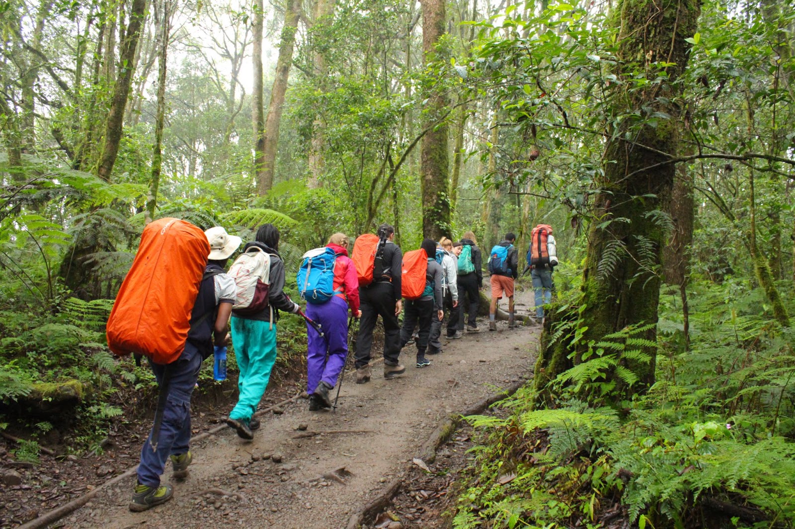 The northern slopes of Kilimanjaro