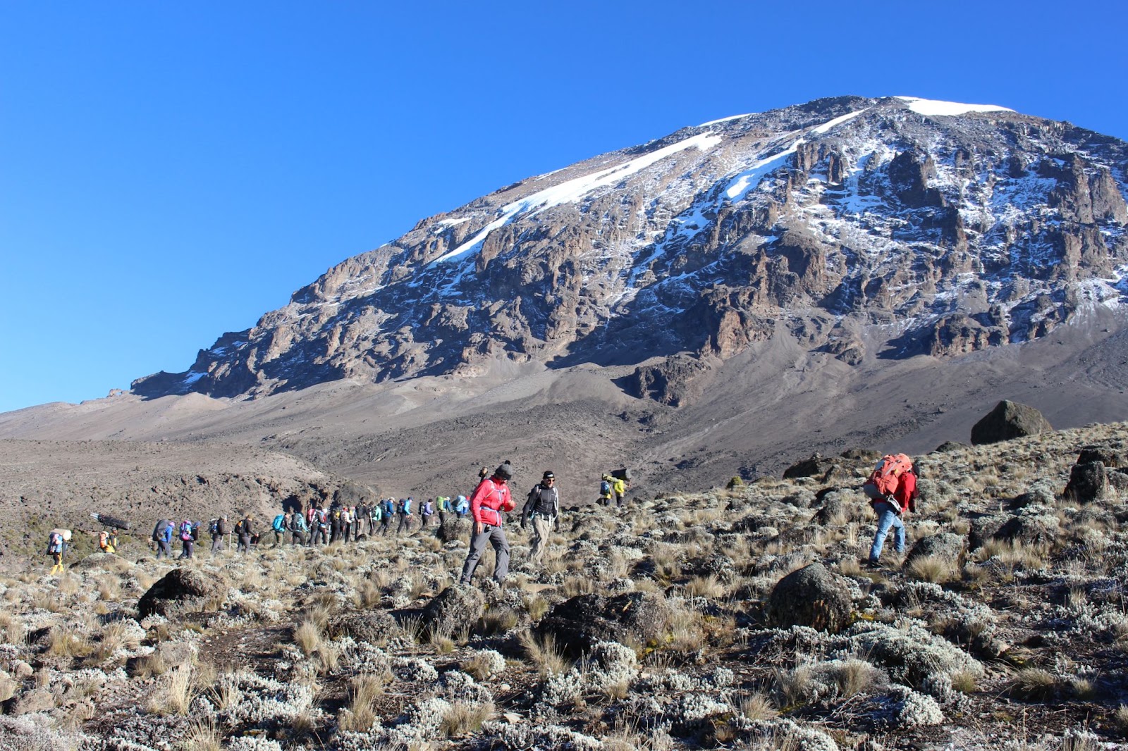Moir Hut to Buffalo Camp, photo 1