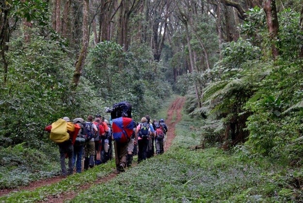 The steep Umbwe ridge toward Barranco