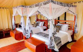 Day 2: Serengeti, photo 2