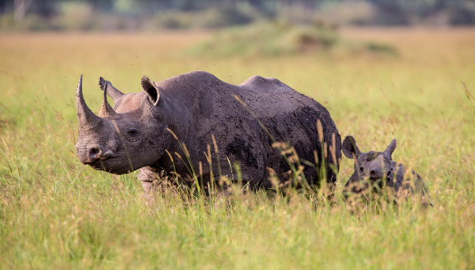Day 3: Ngorongoro - Moshi, photo 3
