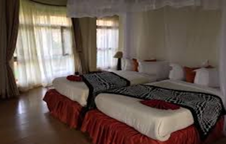 Day 1: Lake Manyara National Park, photo 4
