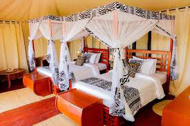 Day 2: Serengeti, photo 2