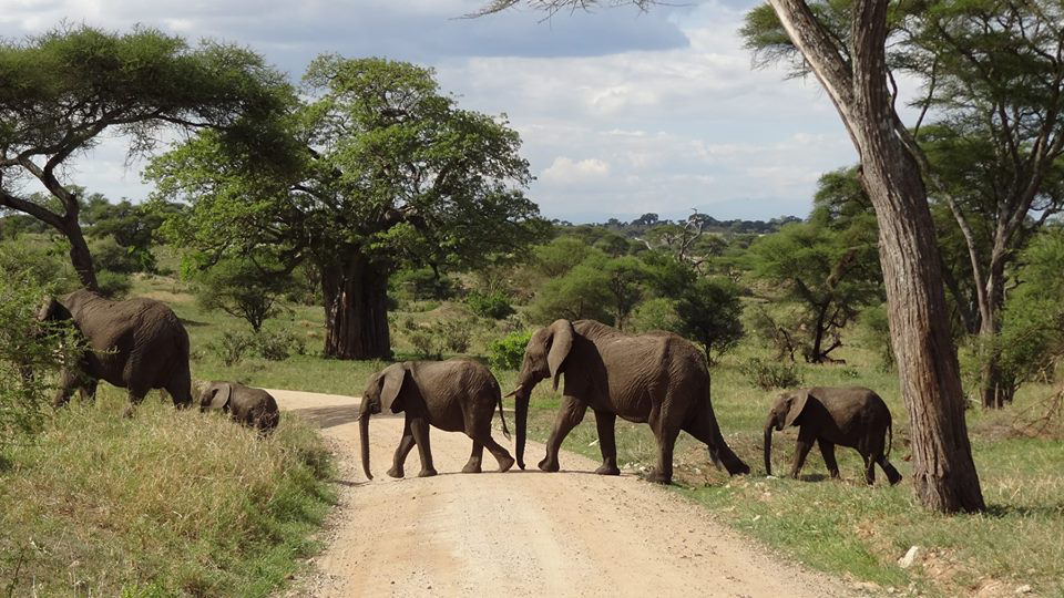 Day 5: Tarangire - Moshi, photo 1