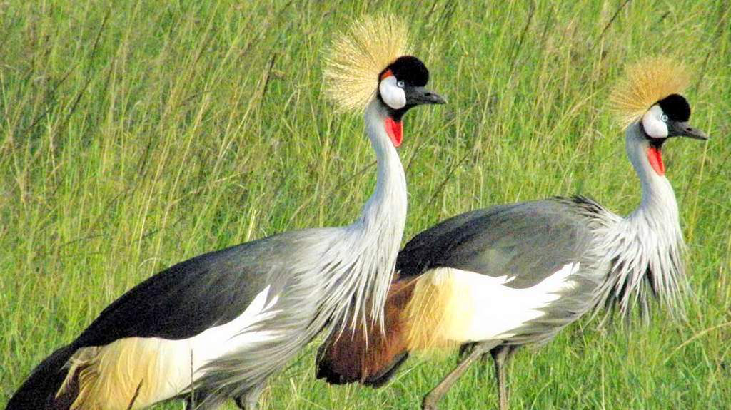 Day 5: Tarangire - Moshi, photo 2