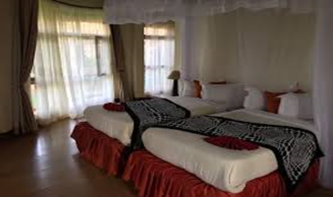 Day 1: Lake Manyara National Park, photo 4