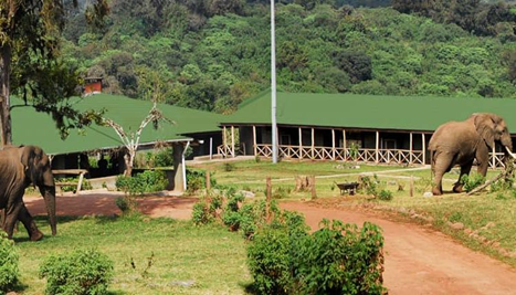 Day 2: Manyara - Ngorongoro, photo 3
