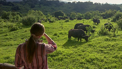 Day 2: Manyara - Ngorongoro, photo 4